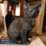 Tiny