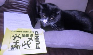 Tuxie