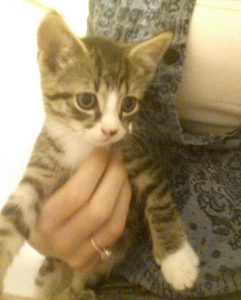 Franklin